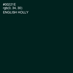 #00221E - English Holly Color Image